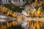 lake, reflection, autumn, fall, trees, mountains, alpes, dolomites, italy, 2015, Italy, photo