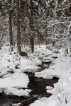 harz, winter, bode, snow, river, fir tree, germany, 2009, photo