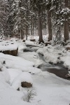 harz, winter, bode, snow, cascade, river, fir tree, germany, 2009, photo