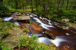 harz, bode, river, forest, cascade, summer, wallpaper, germany, 2010, Stock Images Germany, photo