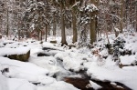 harz, winter, bode, snow, cascade, river, fir tree, germany, 2009, Landschafts Fotokalender Wilder Harz, photo