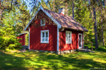cabin, woods, forest, summer, trees, idyll, paradise, sweden, 2023, Sweden, photo