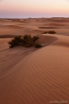 sunset, dunes, el oasis, maspalomas, gran canaria, desert, spain, photo