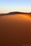 sunset, dunes, el oasis, maspalomas, gran canaria, desert, spain, Spain, photo