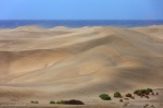 dunes, el oasis, maspalomas, gran canaria, storm, desert, spain, Personal Favorites, photo