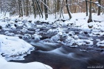 harz, winter, forest, stream, ice, snow, bode, valley, germany, 2015, latest, photo
