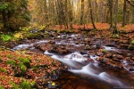autumn, forest, stream, harz, bode, germany, 2015, photo