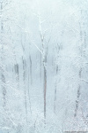 harz, winter, snow, forest, mountain, nationalpark, moody, germany, 2023, Best Landscape Photos of 2023, photo