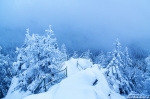 snow, winter, harz, mountains, atmosphere, mood, fairytale, germany, 2023, Best Landscape Photos of 2023, photo