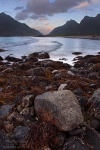 beach, sunset, arctic, ocean, stream, mountain, lofoten, norway, Norway, photo