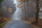 roadshot, fog, road, autumn, tree, woods, forest, germany, 2012, Rural Germany, photo