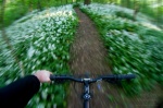 bike, forest, summer, racing, selfie, 2011, germany, Hunting the Light, photo