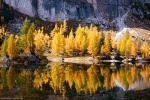 lake, reflection, autumn, fall, trees, mountains, alpes, dolomites, italy, 2015, latest