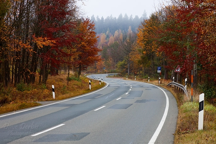 autumn, harz, foliage, street, roadshot, braunlage, harz, germany, 2012, photo