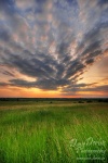field, sunset, grass, brumby, amazing, striking, light, soft,  clouds, sky, germany, Stock Images Germany, photo