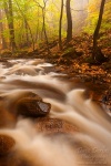 autumn, stream, forest, harz, fog, national park, trail, cascade, ilse, ilsenburg, Favorite Landscape Photos after 10 Years, photo