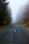 roadshot, fog, road, autumn, tree, woods, forest, germany, 2012, photo