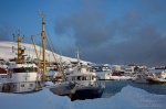 norway, harbour, boat, winter, Norway, photo