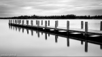 lake, reflection, bnw, water, long exposure, leipzig, germany, 2016, Stock Images Germany, photo