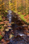 autumn, forest, stream, harz, germany, 2015, Stock Images Germany, photo