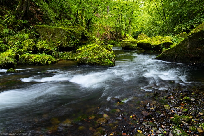 latest, kamenice, bohemian switzerland, national park, river, stream, summer, forest, czech republic, 2015, photo