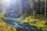 forest, valley, river, autumn, kamnitz, bohemian-switzerland, czech republic, 2014, Czech Republic, photo