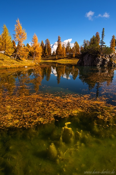 lake, reflection, autumn, fall, trees, mountains, alpes, dolomites, italy, 2015, latest, photo