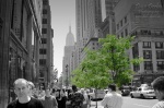 manhattan, skyscrapers, downtown, usa, new york city, new york, nyc, life, green, NYC Street, photo