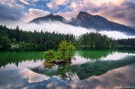 sunrise, forest, lake, mountains, reflection, fog, alps, germany, 2020, Germany, photo
