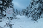 hiking, winter, snow, harz, sign, human, tree, fir, germany, 2013, photo