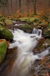 harz, ilse, autumn, stream, ilsetal, sachsen-anhalt, ilsenburg, herbst, creek, germany, Stock Images Germany, photo
