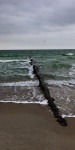 beach, storm, baltic sea, buhne, germany, photo