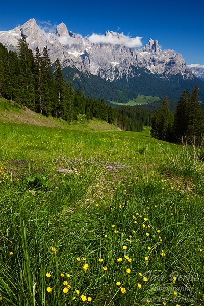 mountain, meadow, summer, hiking, dolomites, italy, 2011, photo