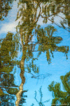 reflection, mirror, tree, abstract, lake, boat, summer, sweden, 2023, Sweden, photo