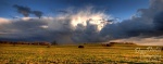 brumby, grassland, cloudburst, storm, brumby, radiance, storm, sky, glanz, wolkenbruch, sturm, himmel, dramatic, sonnenuntergang, sunset, germany, Stock Images Germany, photo