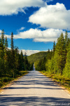 roadshot, forest, wilderness, woods, road, mountains, lappland, sweden, 2022, Sweden, photo