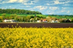 rural, scene, country, natural, hinterland, germany, 2020, Stock Images Germany, photo