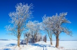 winter, brumby, rural, snow, blue sky, roadshot, germany, 2021, Rural Germany, photo