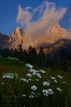 mountain, dolomites, sunset, flower, wildflower, meadow, clouds, alpenglow, italy, 2011, photo