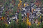 forest, national park, autumn, sachsen, saxony, saxon switzerland, germany, photo