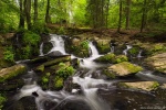 harz, summer, waterfall, cascade, forest, stream, harz, germany, 2019, Germany, photo