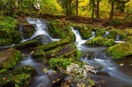 harz, autumn, forest, stream, harz, germany, 2012, Stock Images Germany, photo