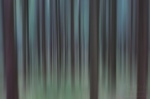 forest, abstract, harz, germany, Abstract Forest Renditions, photo