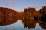 harz, lake, autumn, sunset, tree, forest, germany, 2012, Stock Images Germany, photo