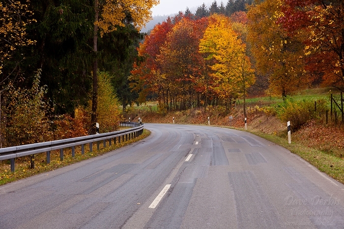 autumn, harz, foliage, roadshot, street, harz, germany, 2012, photo
