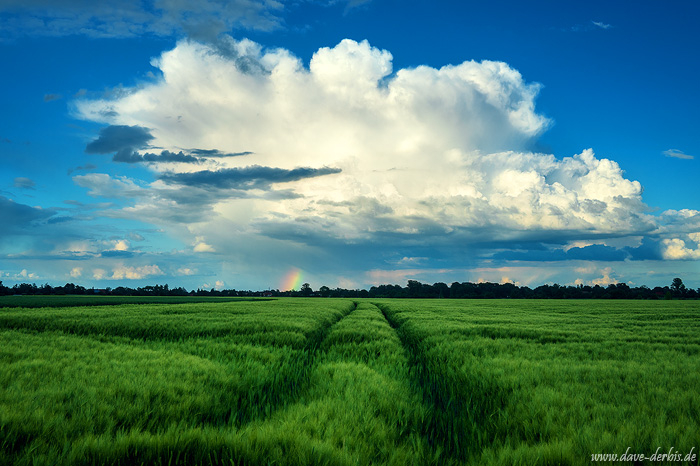 summer, storm, fields, cloud, rainbow, leipzig, germany, 2022, photo