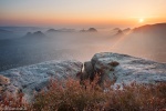sunrise, valley, mountain, sun, saxon switzerland, germany, latest, Stock Images Germany, photo