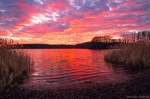 sunset, lake, pink, light, reflection, winter, germany, 2020, Best Landscape Photos of 2020, photo