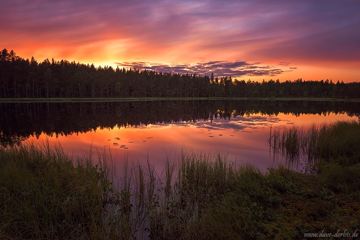 sunset, lake, reflection, forest, summer, calm, mirror, norway, 2017, photo