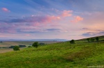 sunset, green, summer, england, sheep, united kingdom, 2014, Scotland, photo